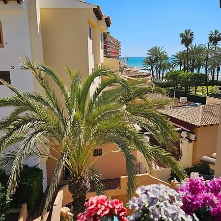 Zozo Playa Locos Apartment *